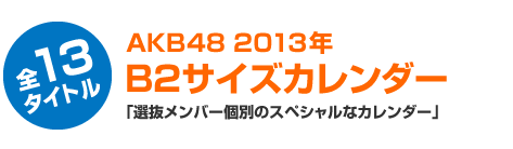 【全13タイトル】AKB48 2013年　B2サイズカレンダー「選抜メンバー個別のスペシャルなカレンダー」
